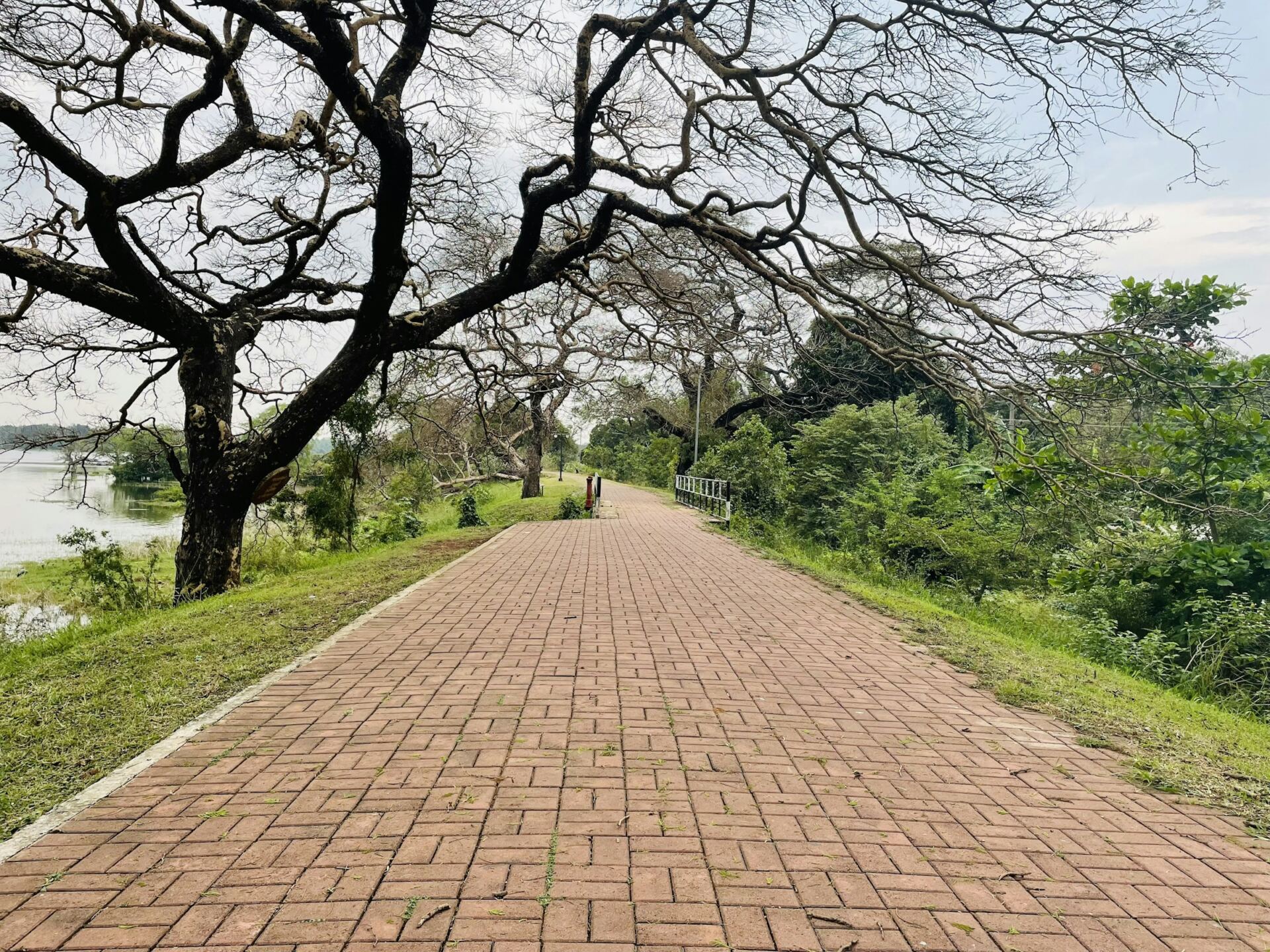 Ancient landscape and waterway in Anuradhapura