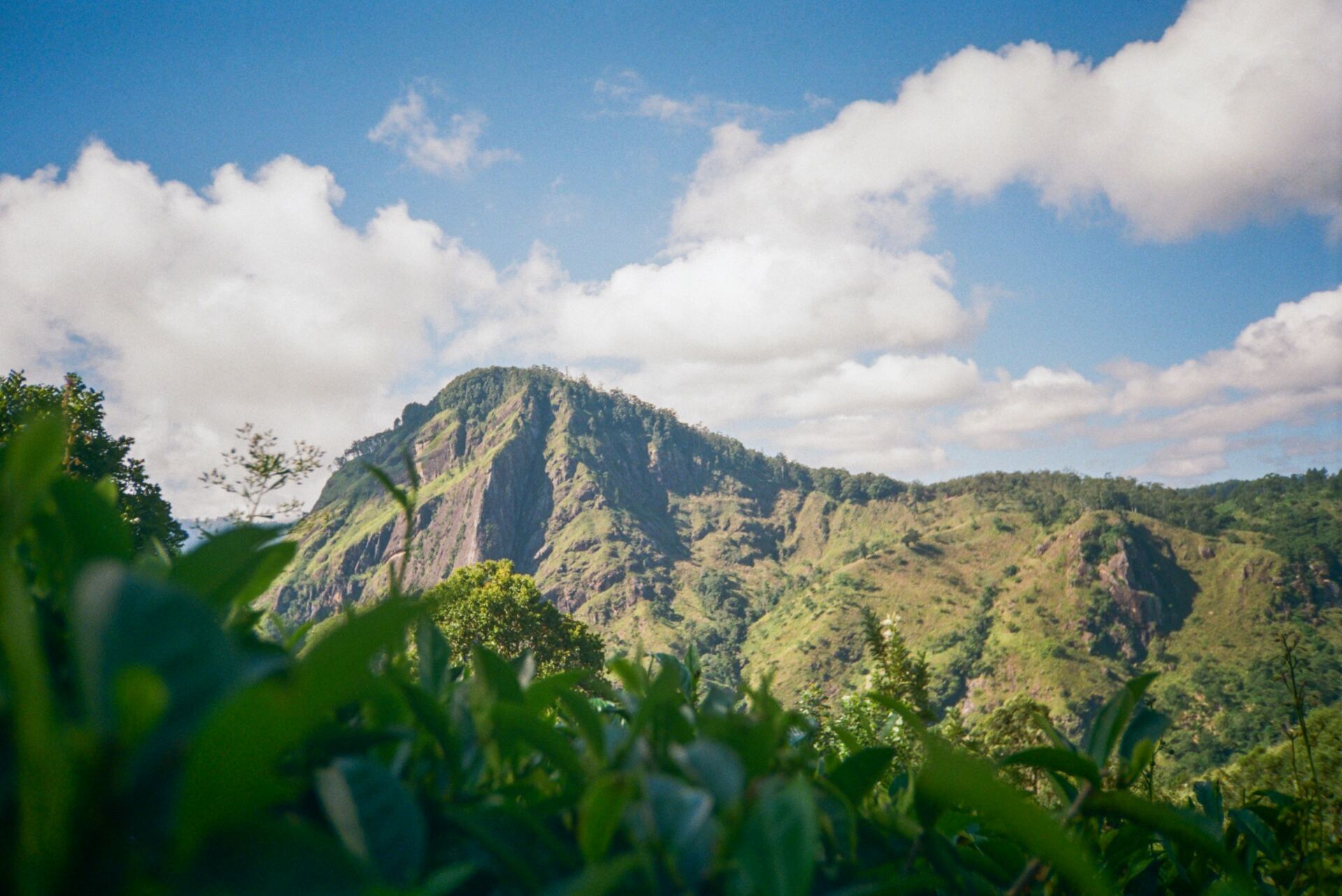 Green mountain view from Little Adam's Peak near Ella
