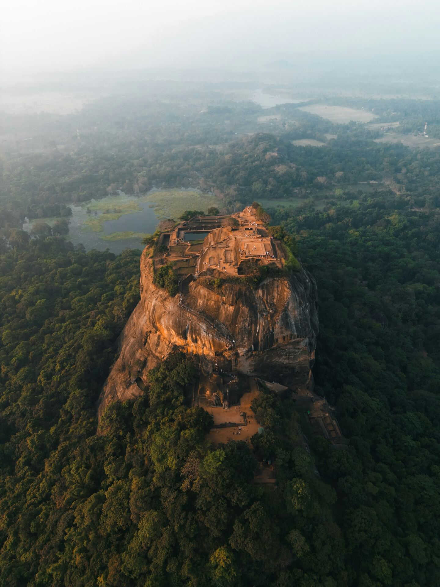 Aerial view of Sigiriya Rock surrounded by forest