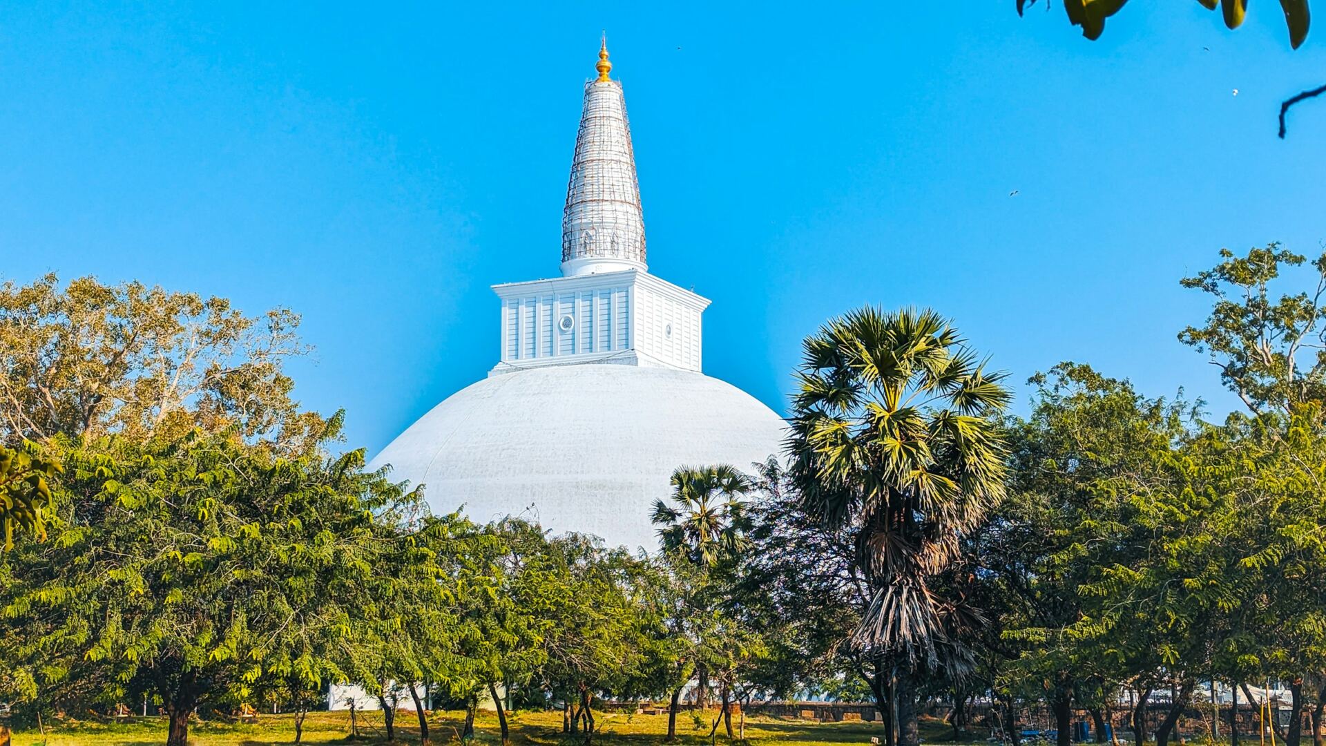 Buddhist temple surrounded by greenery in Anuradhapura