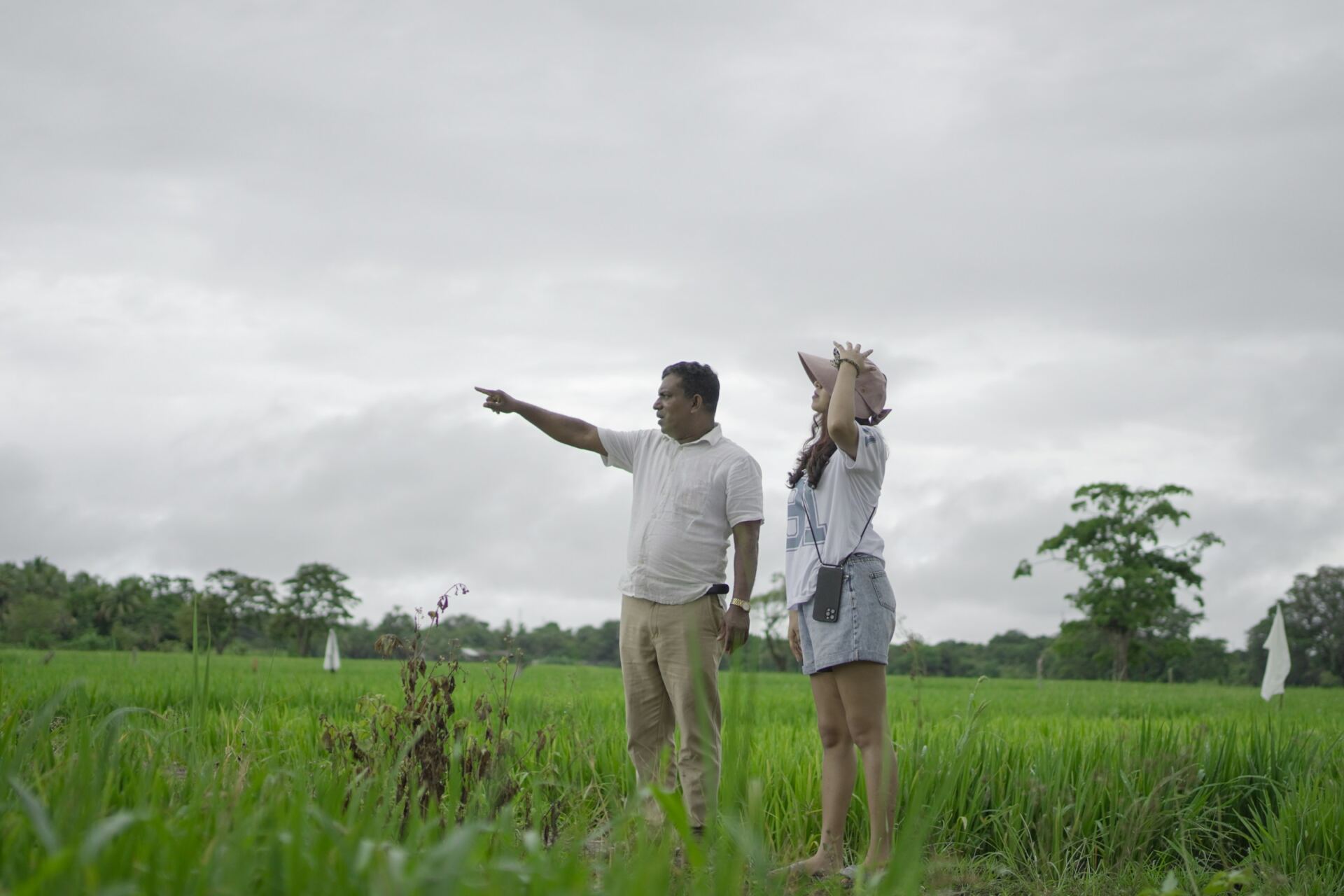 Village experience beside green paddy fields in Habarana