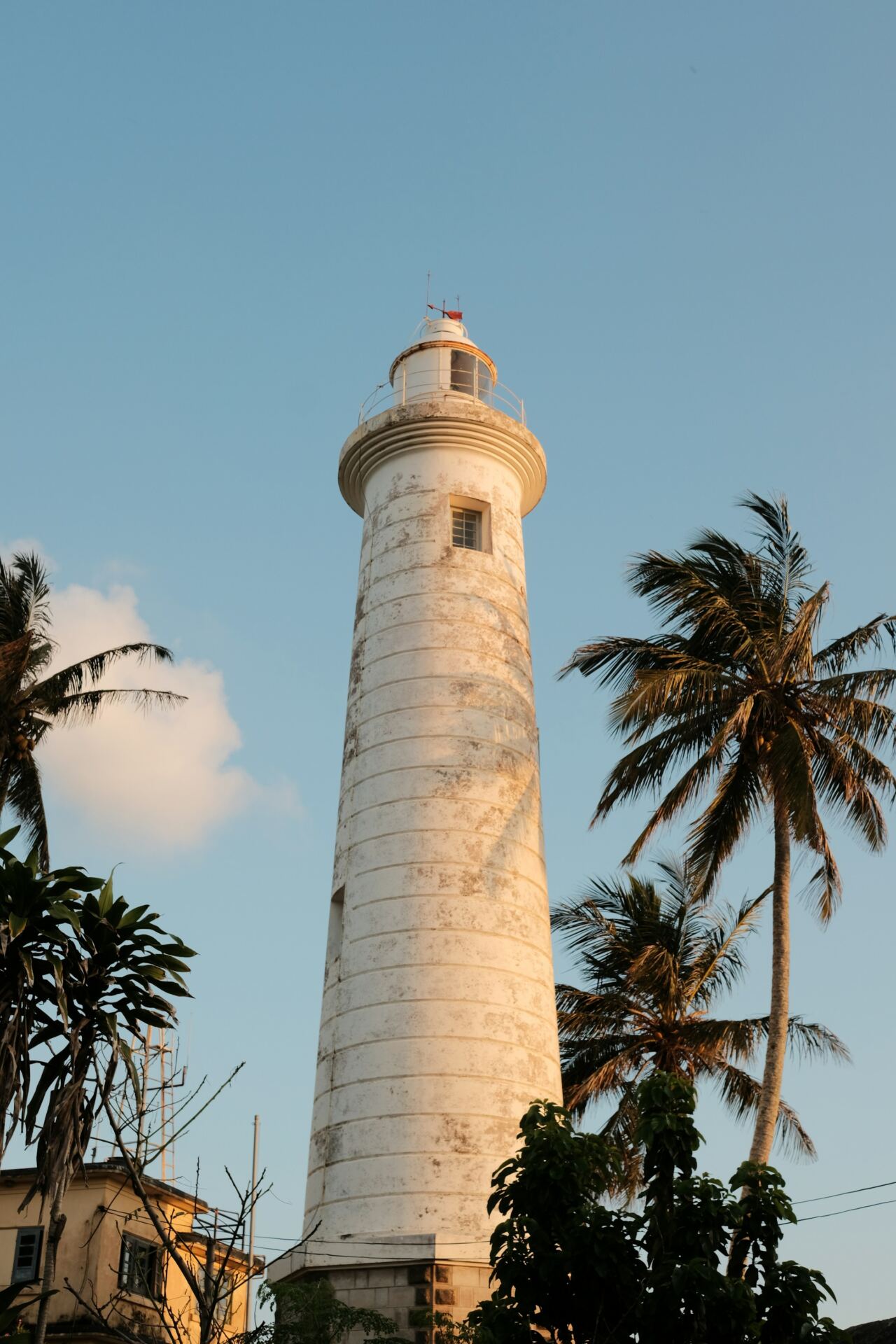 Galle Lighthouse rising above palm trees in warm light