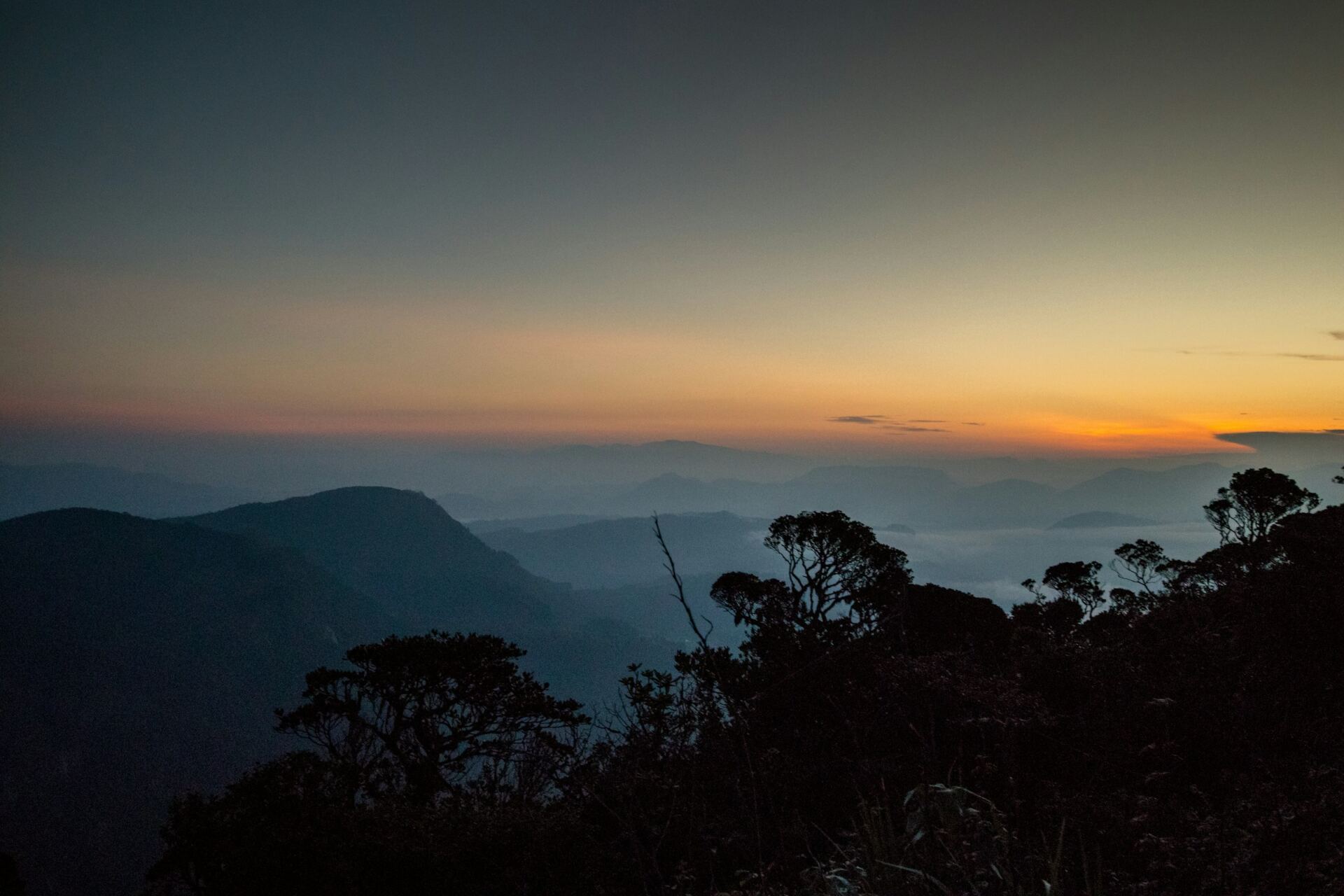 Forest scenery around Adam’s Peak, Sri Lanka